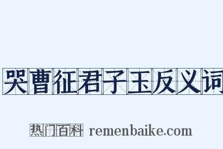 哭曹征君子玉反义词是什么意思的图片
